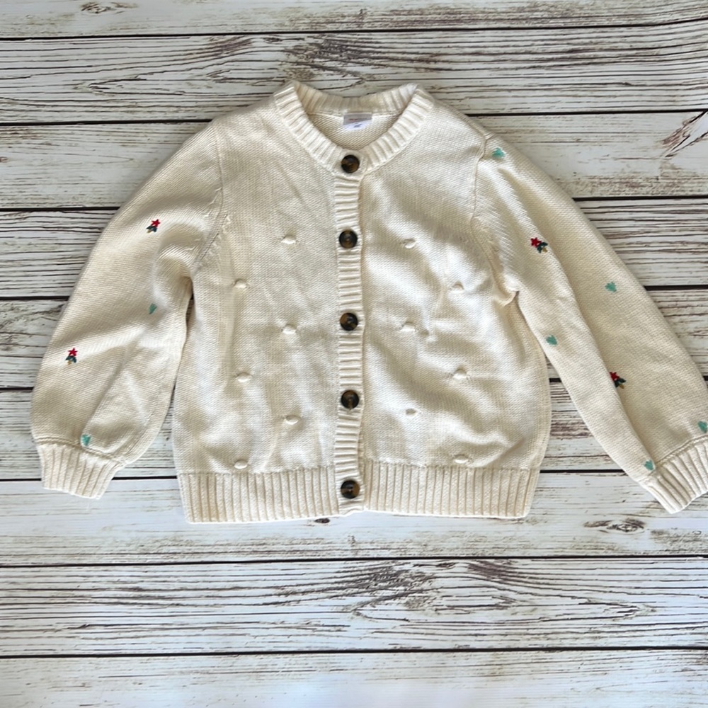 Hanna Anderson holiday sweater